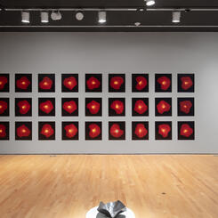 Each Tolling Sun: Installation at Hilliard Art Museum 2023