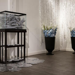 Exhibition Art Installation Image