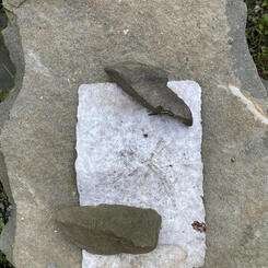 another brushpile install weathered_0.jpg