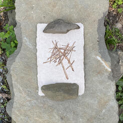 another brushpile from the series On Summer's Margin (installation view)