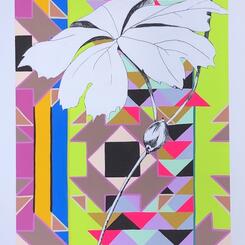 Box Turtles Dream of Mayapples