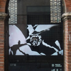 Casebearer 2.0 installed at Mock Jungle