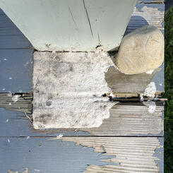 decayed clapboard siding (weathered) from the series On Summer's Margin (installation view)