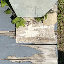 decayed clapboard siding from the series On Summer's Margin (installation view)