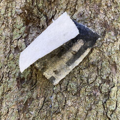 fence (in black) (weathered) from the series On Summer's Margin (installation view)