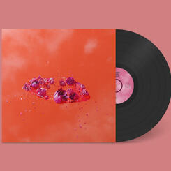 The LIving World's Demands Album Art