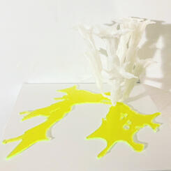 In the Garden of Shadows