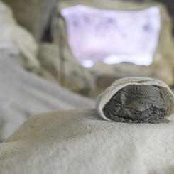 freeze/thaw - detail