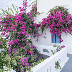 Reminiscence of Summers' Past | Amorgos Island, Cycladic Archipelago, Aegean Sea, Greece