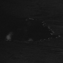 Still Frame (Single Channel)