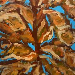 Fiddle Leaf Fig Tree