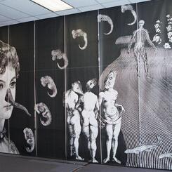 Genetics/Memetics, Washington, DC.