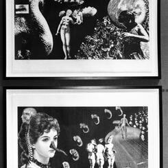 Editioned vellum prints, Genetics/Memetics.