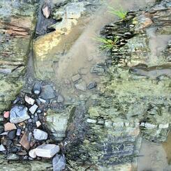 the rocky shore of Ile D'Orleans