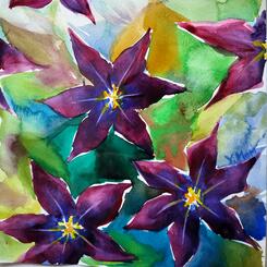 Clematis and Damselfly