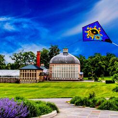 BMore_DruidHillPark_20130524_01b Copy (1).JPG