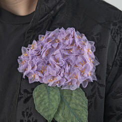 Hydrangea; worn