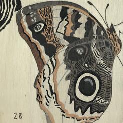 Meredith Connelly - Magnificent Owl