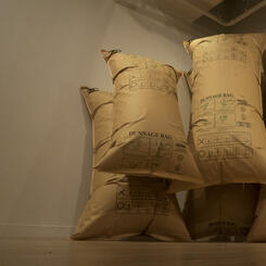 Bags in the Room (coming home)