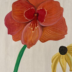 Amaryllis - Rebirth + Transformation + Courage