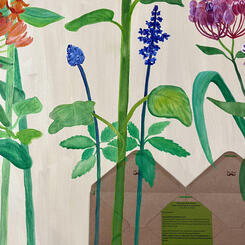 Blue Sage - Strength + Wisdom + Resilience + Sacred