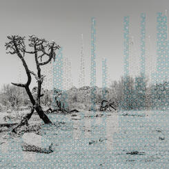 “It is not only NOT getting warmer, hurricanes are at a 30-year low.”