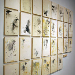 Detritus: The Process (Installation)