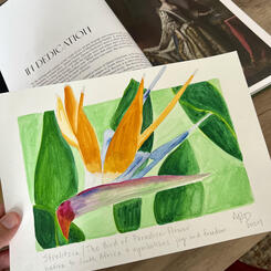 For Hannah, watercolor, 2024.