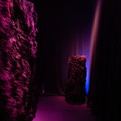 Feeling Tingly? Installation View