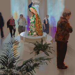 Peackock Resplendant