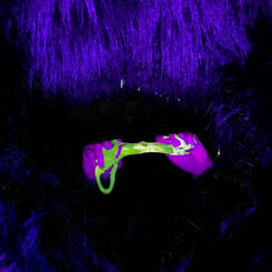 Tube Portal (video still)