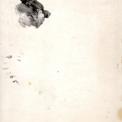 Detritus: The Process (Detail)