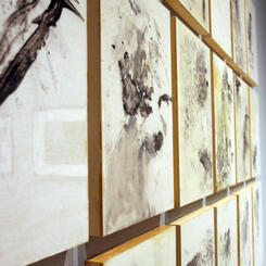 Detritus: The Process (Installation: Detail)