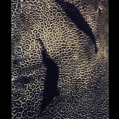 Shadows Leaping Across a Ray