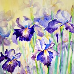 Irises