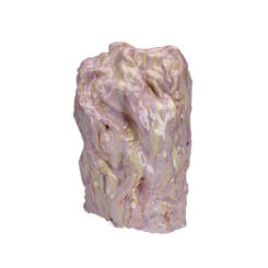 Enigmatic Pathologies (pink)