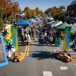 Damascus Placemaking Festival, gateway entrance installation, birds-eye view