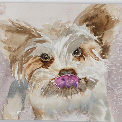 Harry's Anticipation