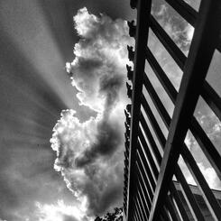 Pool Fencing (Columbia, MO)