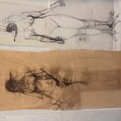 Preliminary Drawings on paper and Stitched on Organza