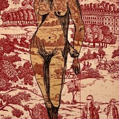 Golden-Cheeked Warbler Warrior Woman Makes her Mark, 2024