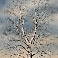 Sycamore, acrylic, 40 by 28 inches, 2020