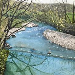 A Sunny Day at the River