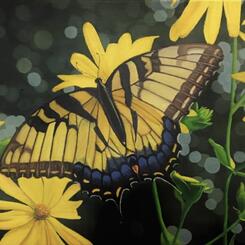 Belleza Amarilla (Yellow Butterfly)