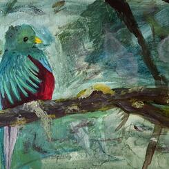Resplendent Quetzal