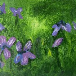 Violets