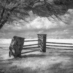 Jenkins Farm - Worthington Valley