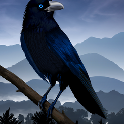 Majestic Raven