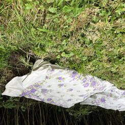 Rest? (detail, after rain)