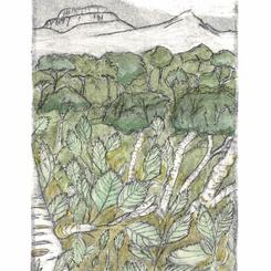 Ghost Forest (Future), 2024